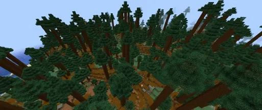 Wooded Hills Seed