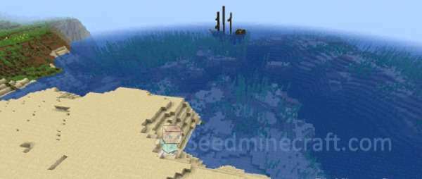 Beach Seeds for Minecraft Java Edition 3