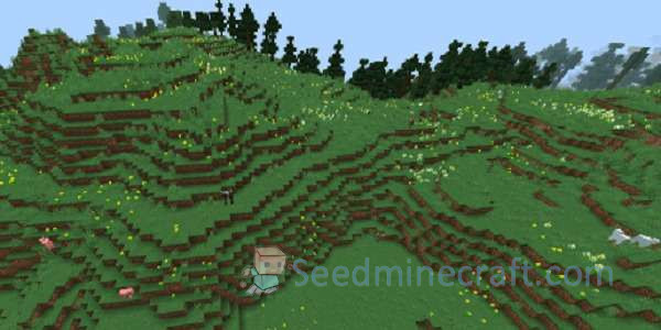 Minecraft Forest Seeds for Java Edition 17