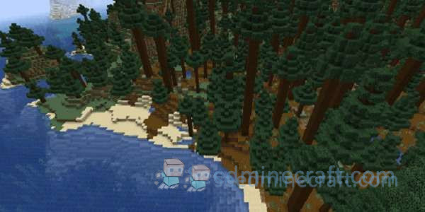 Old Growth Pine Taiga Seeds for Minecraft Java Edition