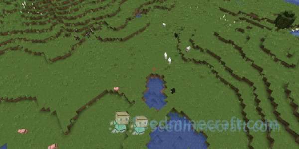 Plains Seeds for Minecraft Java Edition 5