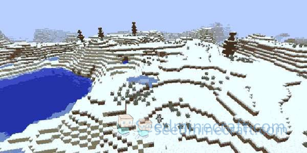 Snowy Beach Seeds for Minecraft Java Edition