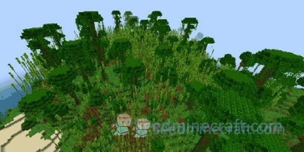 Sparse Jungle Seeds for Minecraft Java Edition 2