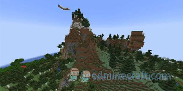 Windswept Forest Seeds for Minecraft Java Edition 3