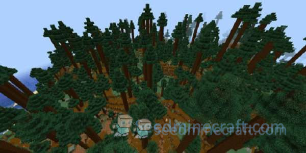 Wooded Hills Seeds for Minecraft Java Edition 6