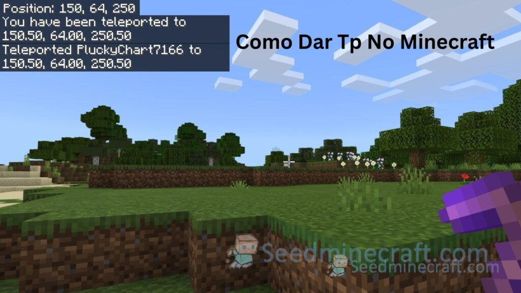 Como Dar Tp No Minecraft